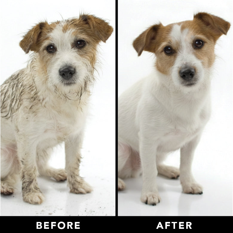 THE SHEDDER Dog Shampoo by PRIDE+GROOM