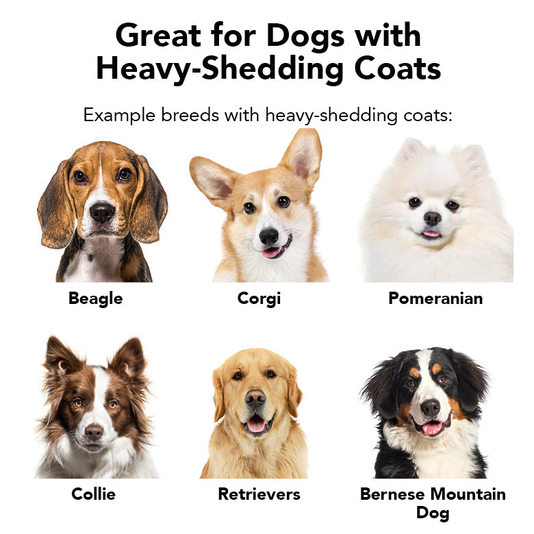 THE SHEDDER Dog Shampoo by PRIDE+GROOM