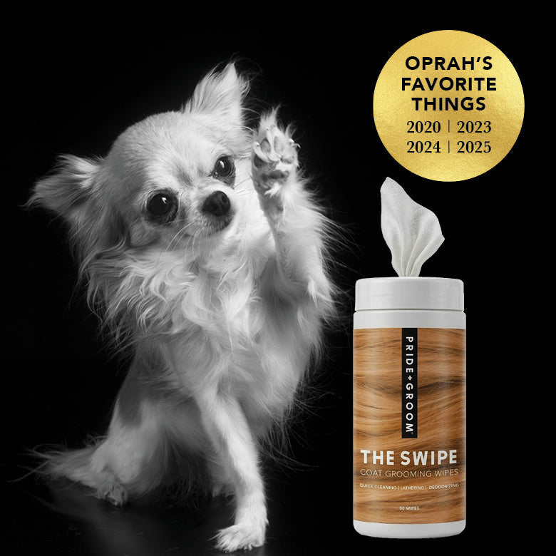 THE SWIPE by PRIDE+GROOM