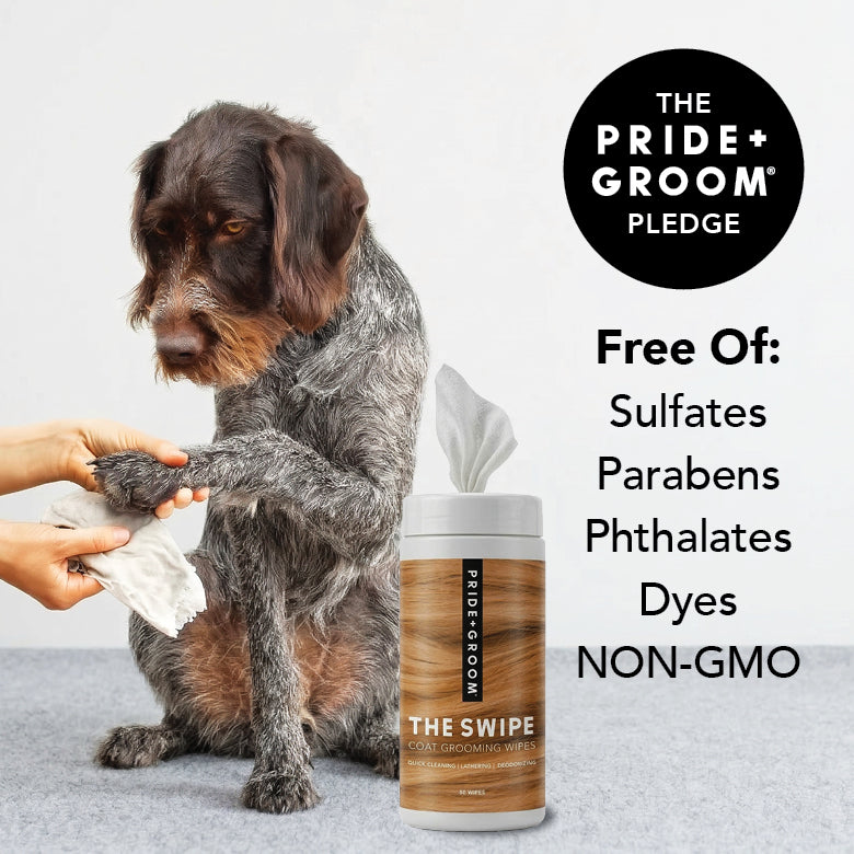 THE SWIPE by PRIDE+GROOM