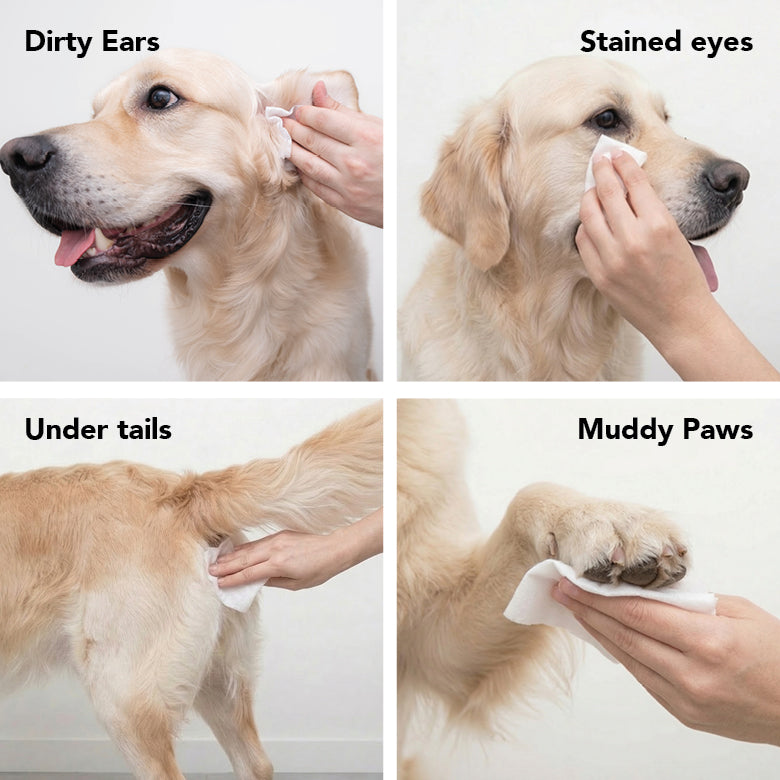 THE SWIPE by PRIDE+GROOM