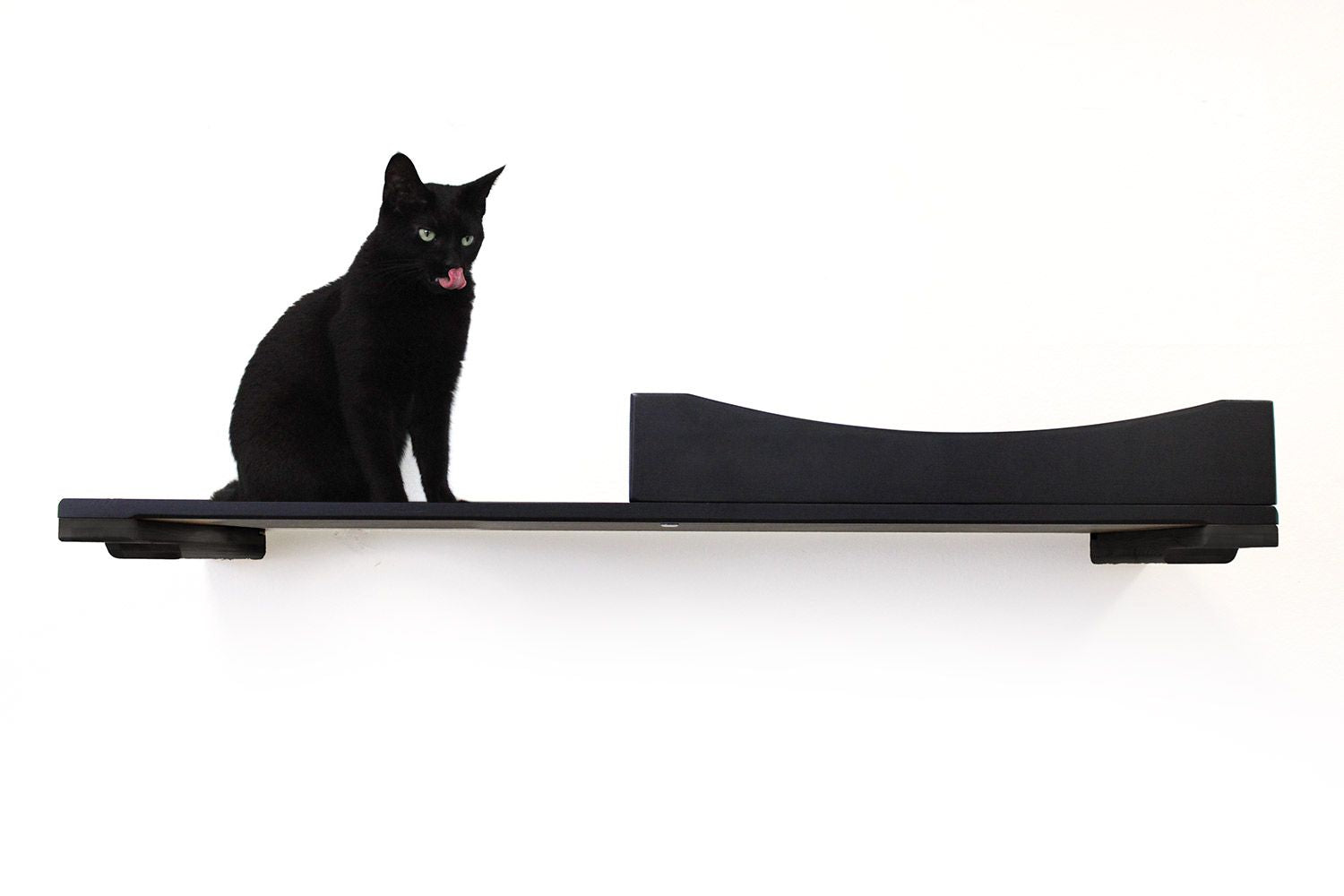 The Cat Nest Bed by Catastrophic Creations