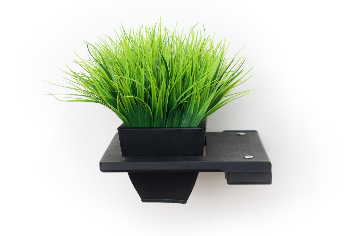 Cat Plant Stand for Wall by Catastrophic Creations