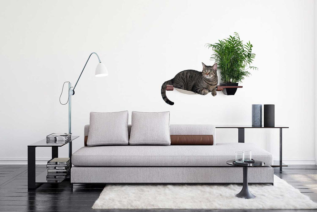 Cat Hammock Wall with Planter by Catastrophic Creations