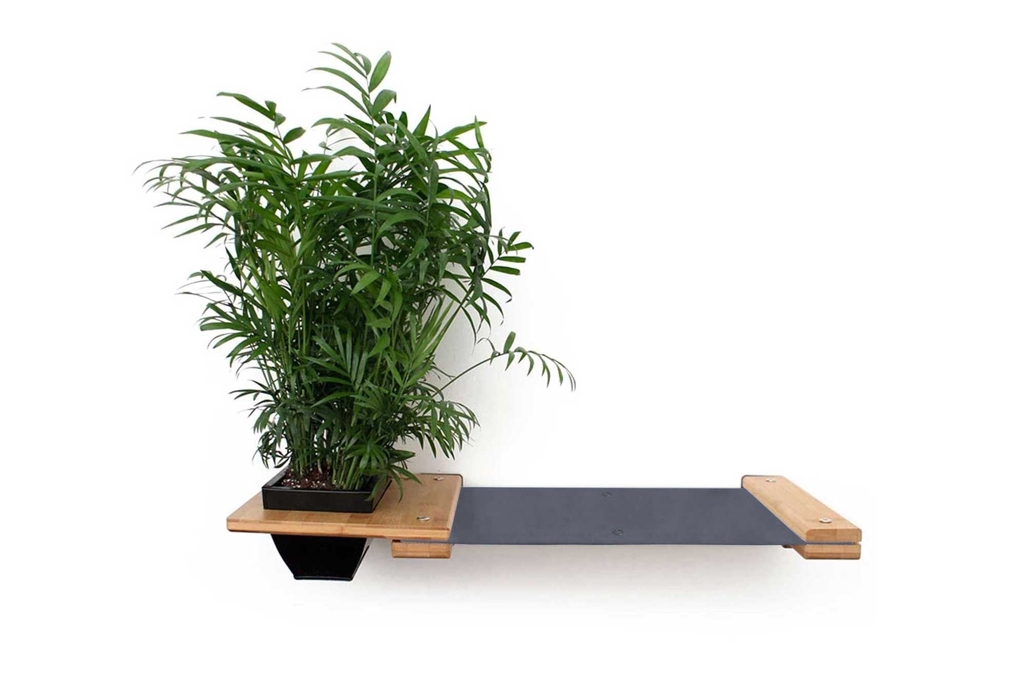 Cat Hammock Wall with Planter by Catastrophic Creations