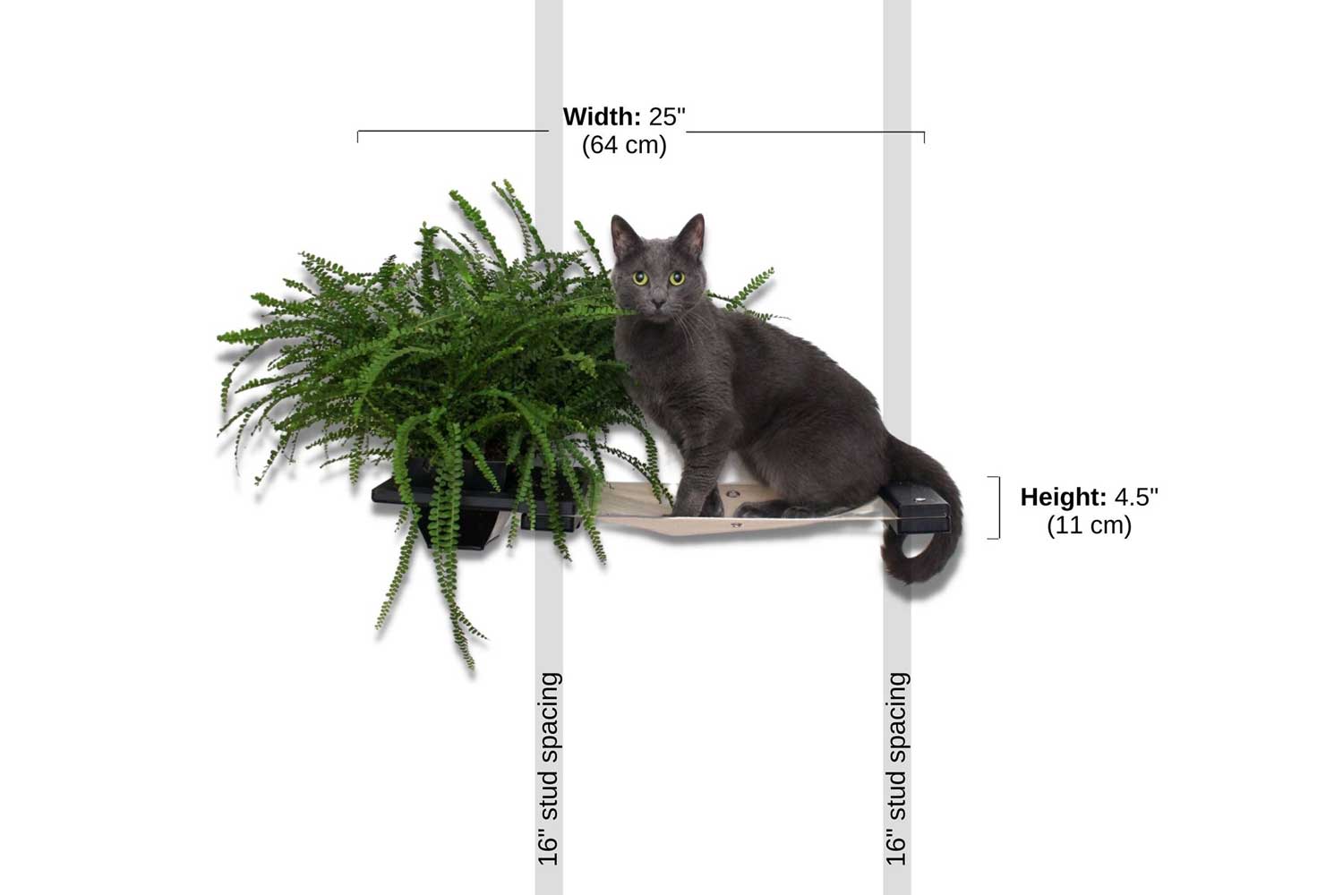 Cat Hammock Wall with Planter by Catastrophic Creations