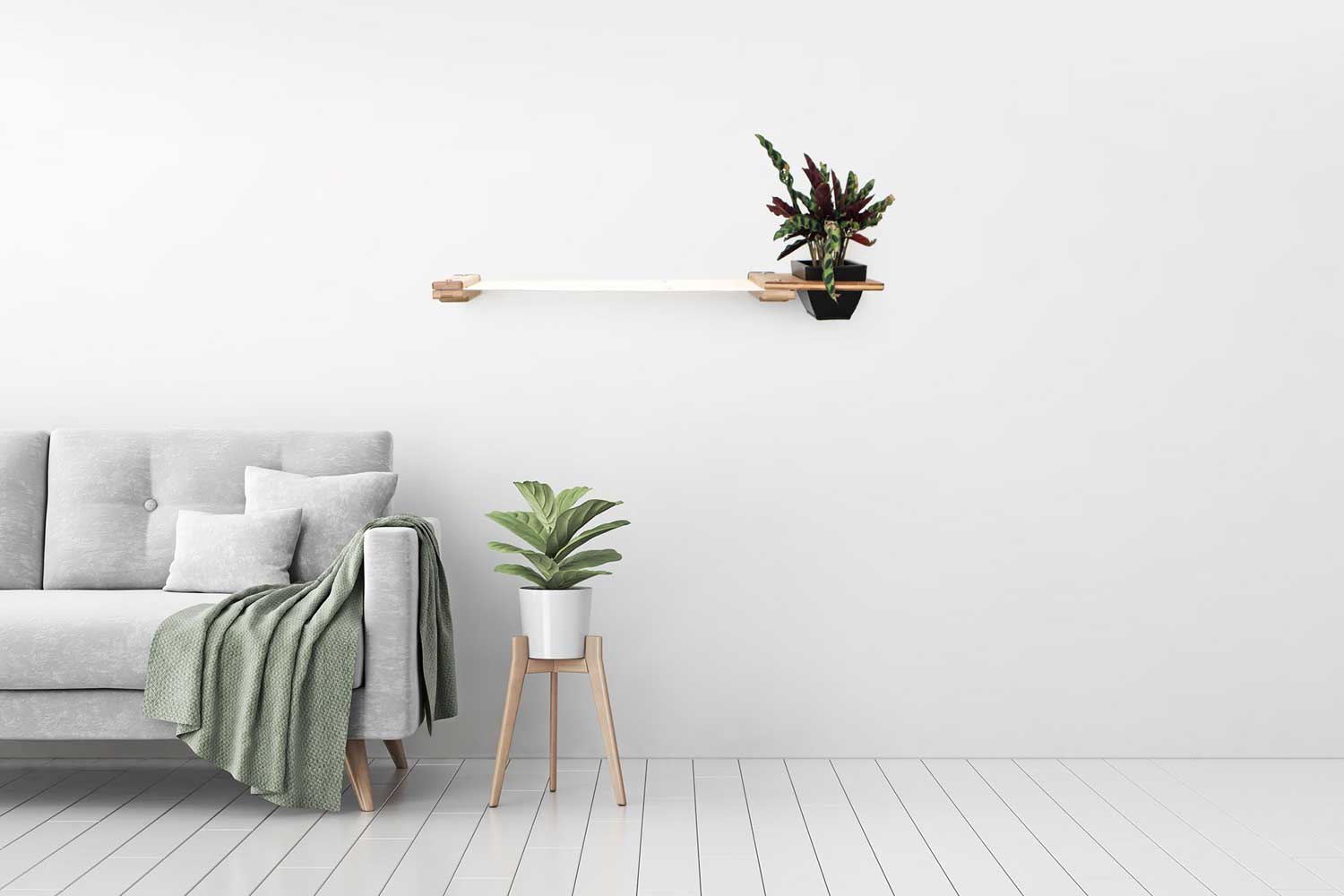 Cat Hammock Wall with Planter by Catastrophic Creations