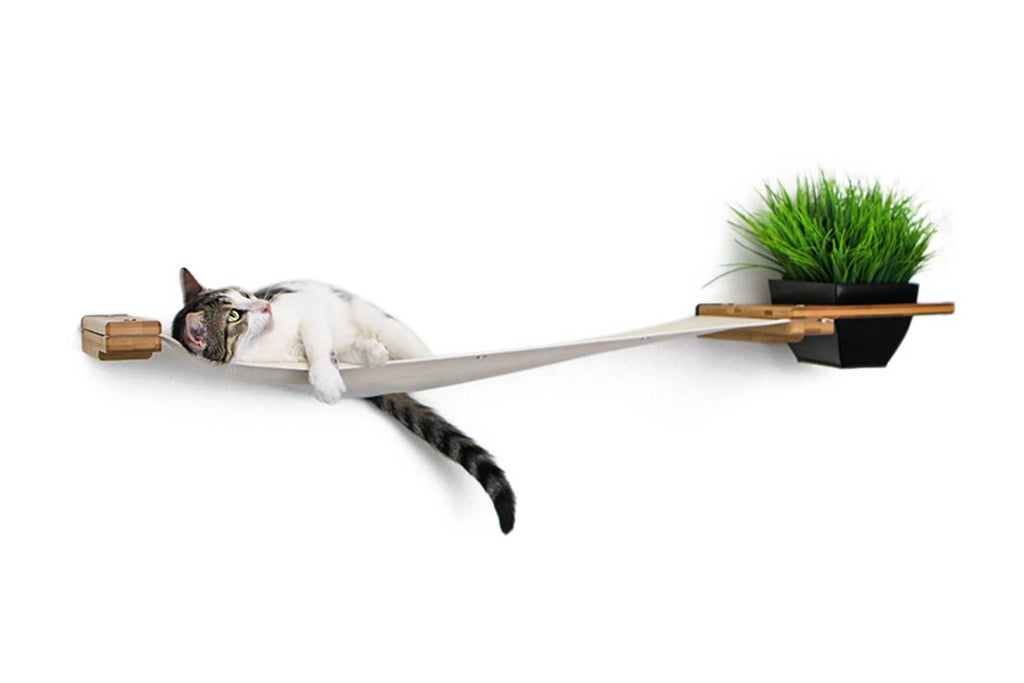 Cat Hammock Wall with Planter by Catastrophic Creations