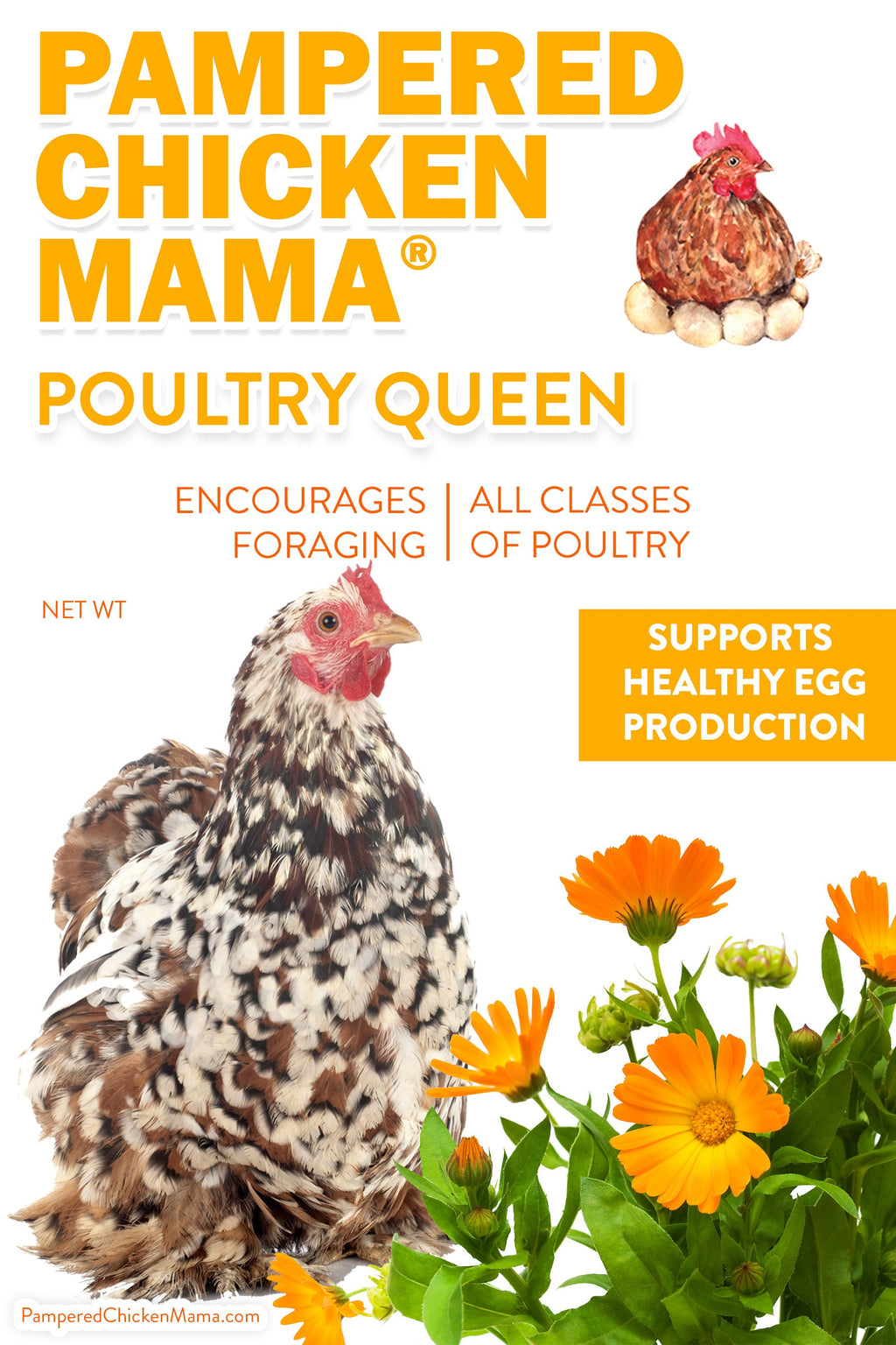Poultry Queen Mealworm, Premium Corn, Flax Seeds, & Herb Treat For Pet Chickens by Dahlia Pets