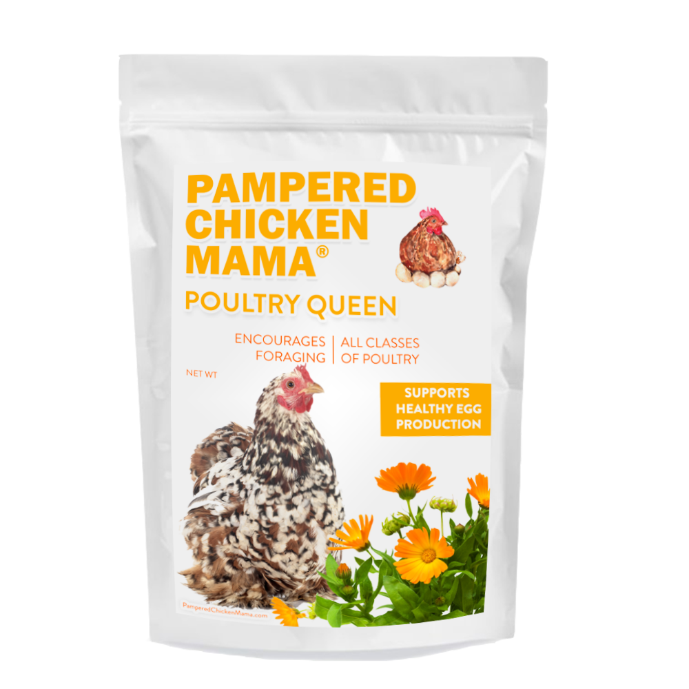 Poultry Queen Mealworm, Premium Corn, Flax Seeds, & Herb Treat For Pet Chickens by Dahlia Pets