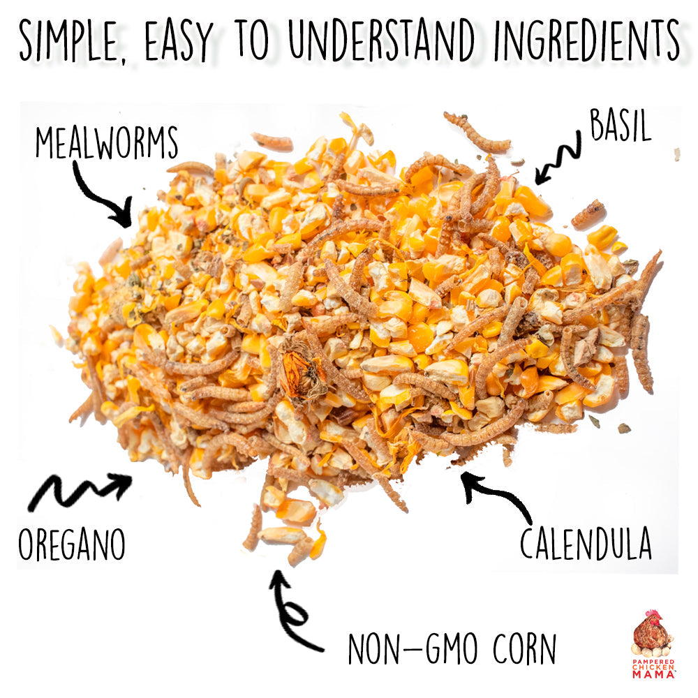 Poultry Queen Mealworm, Premium Corn, Flax Seeds, & Herb Treat For Pet Chickens by Dahlia Pets