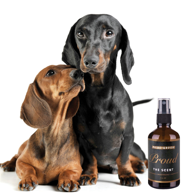 PROUD Signature Scent by PRIDE+GROOM