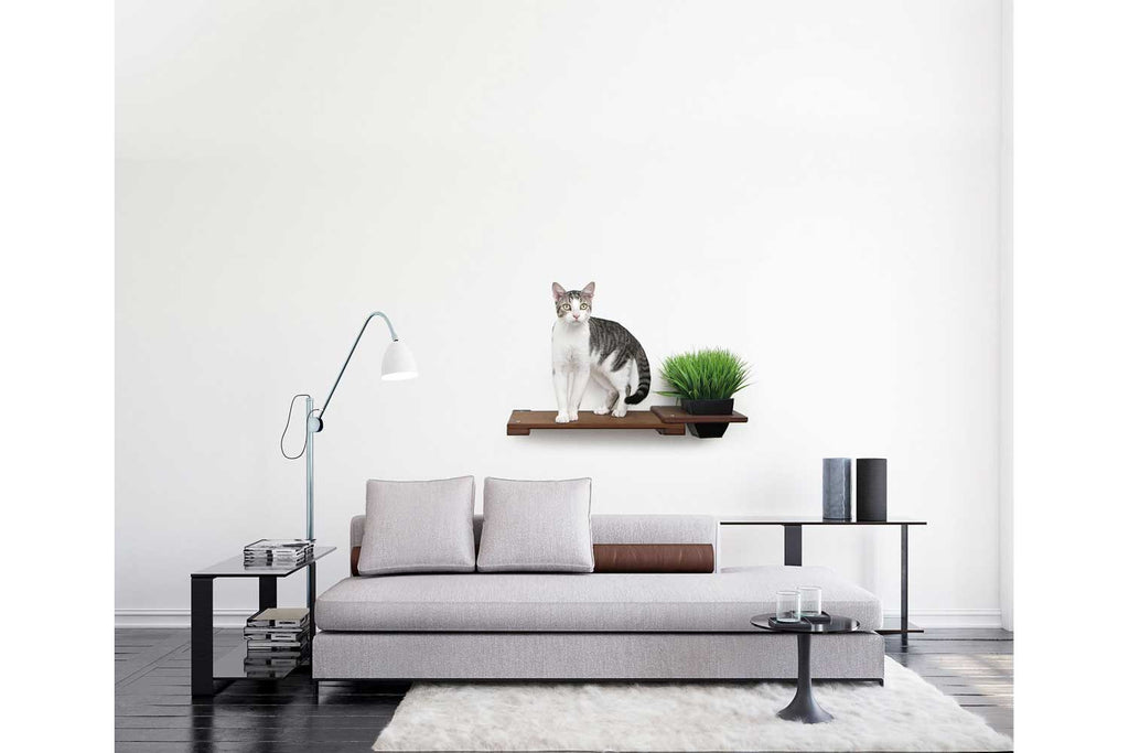 Cat Plant Stand for Wall by Catastrophic Creations