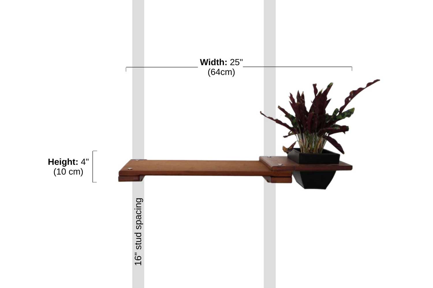 Cat Plant Stand for Wall by Catastrophic Creations