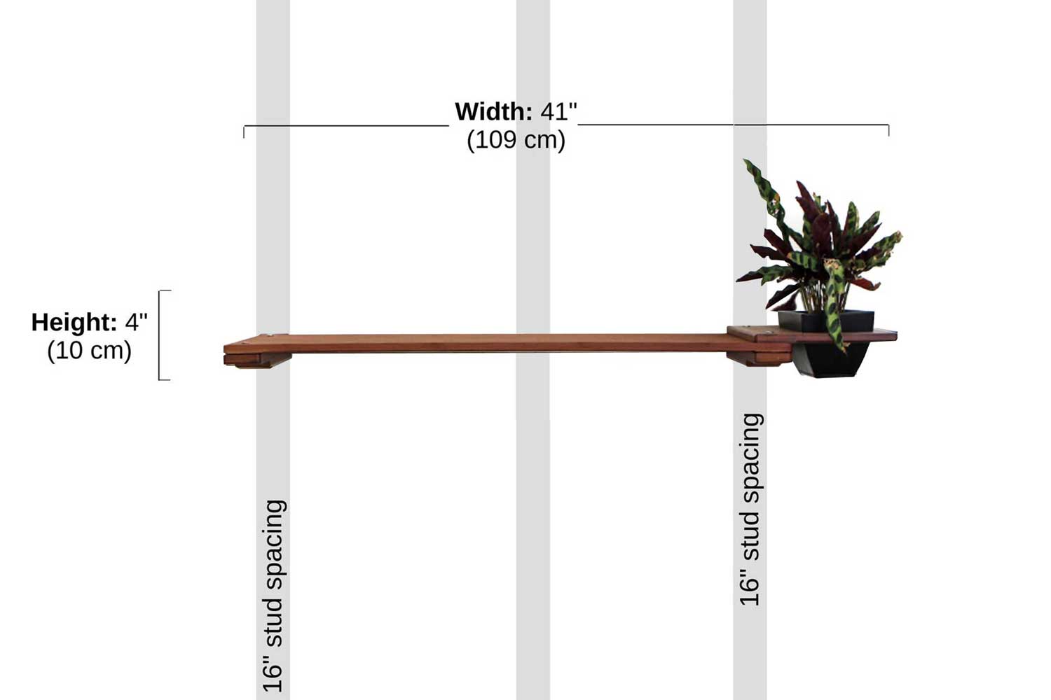 Cat Plant Stand for Wall by Catastrophic Creations