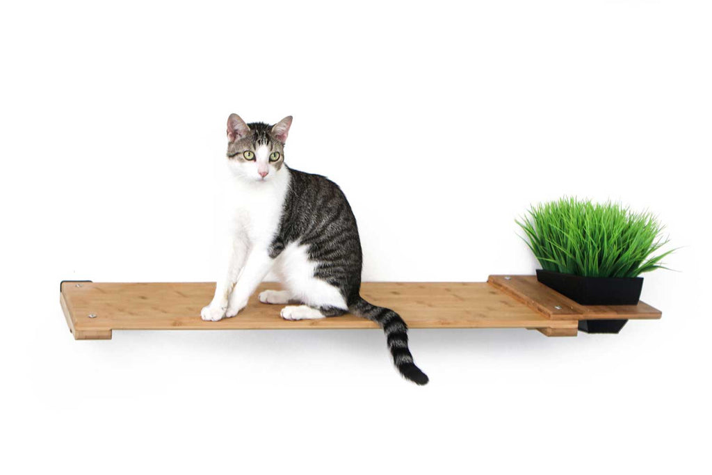 Cat Plant Stand for Wall by Catastrophic Creations