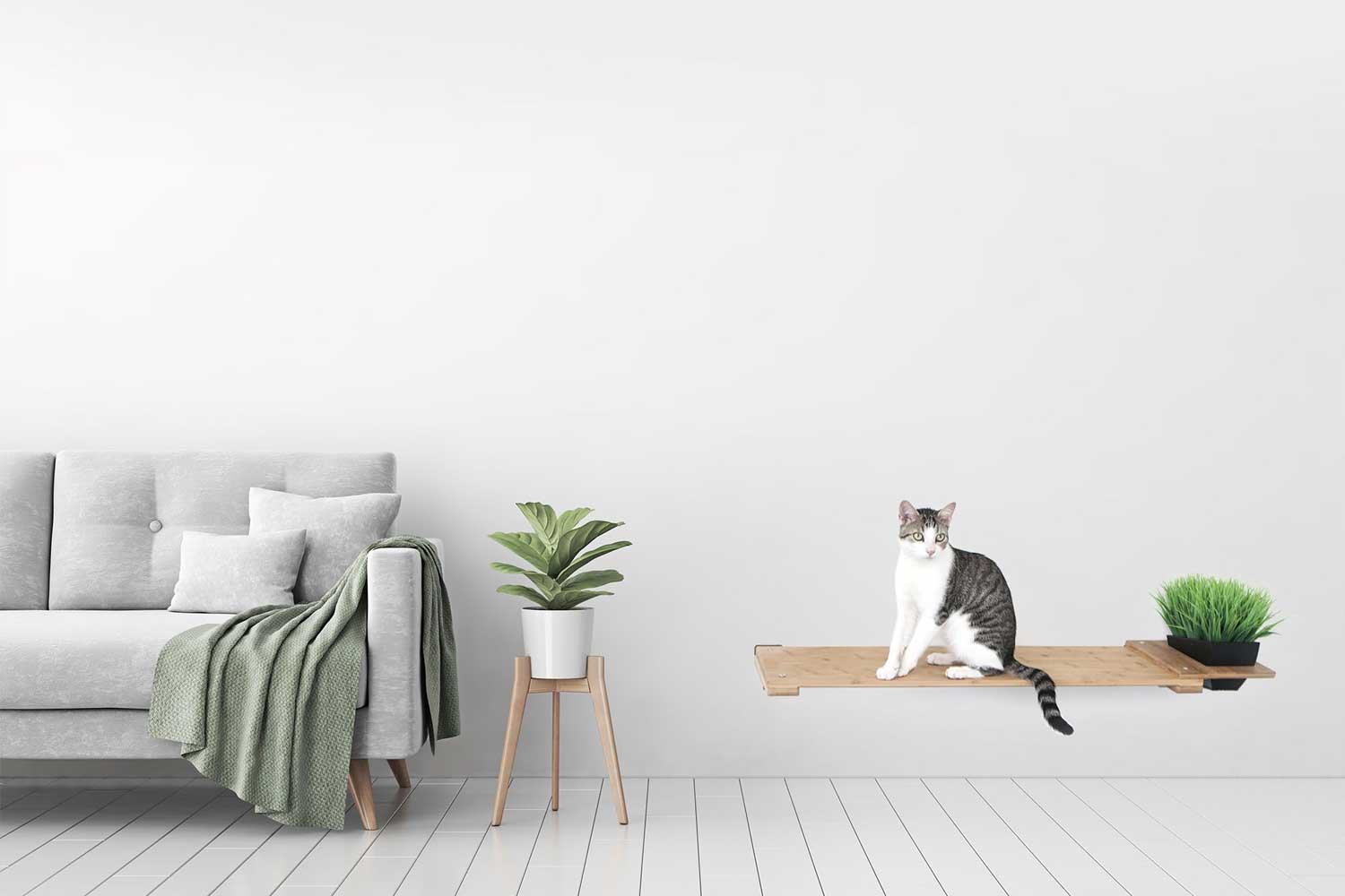 Cat Plant Stand for Wall by Catastrophic Creations