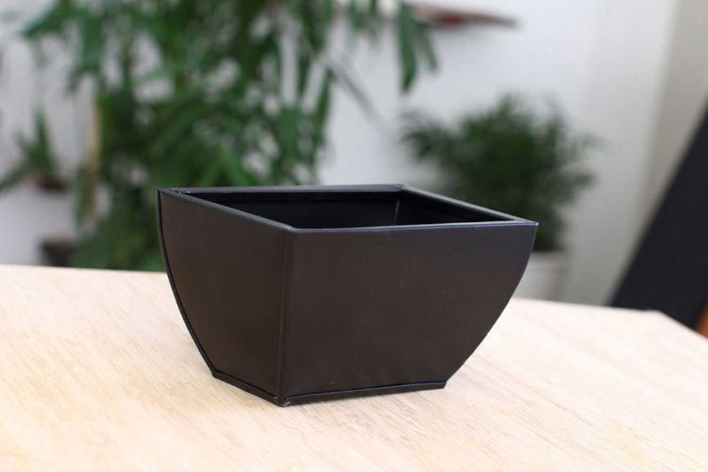 Cat Plant Stand for Wall by Catastrophic Creations