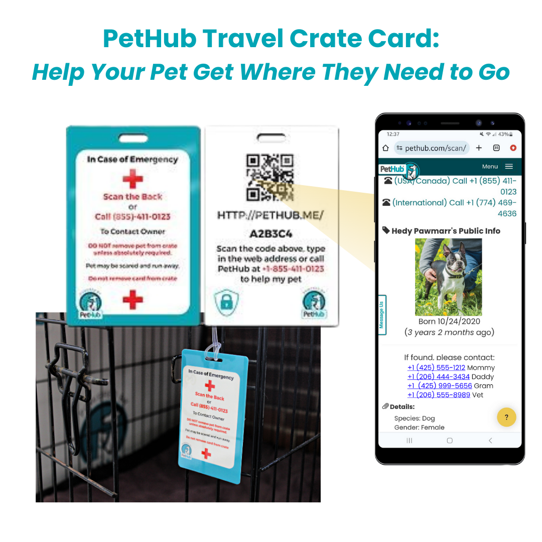 PetHub QR Pet ID Comprehensive ReadyKit – Complete Emergency Kit by PetHub