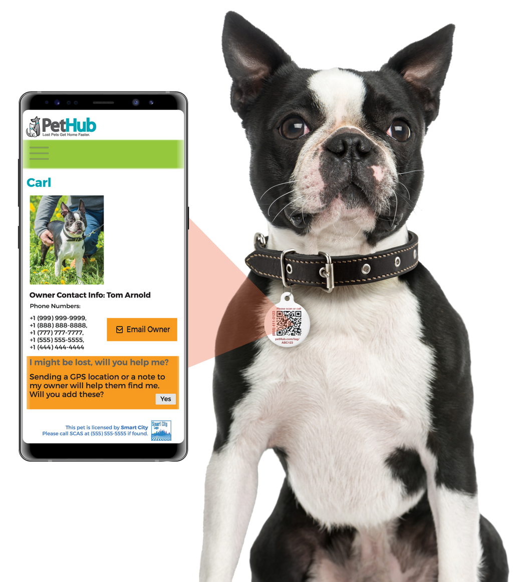 PetHub QR Pet ID Tag – Original Get Me Home Club by PetHub