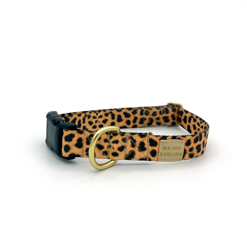 not-so-basic snap collar / leopard by Major Darling