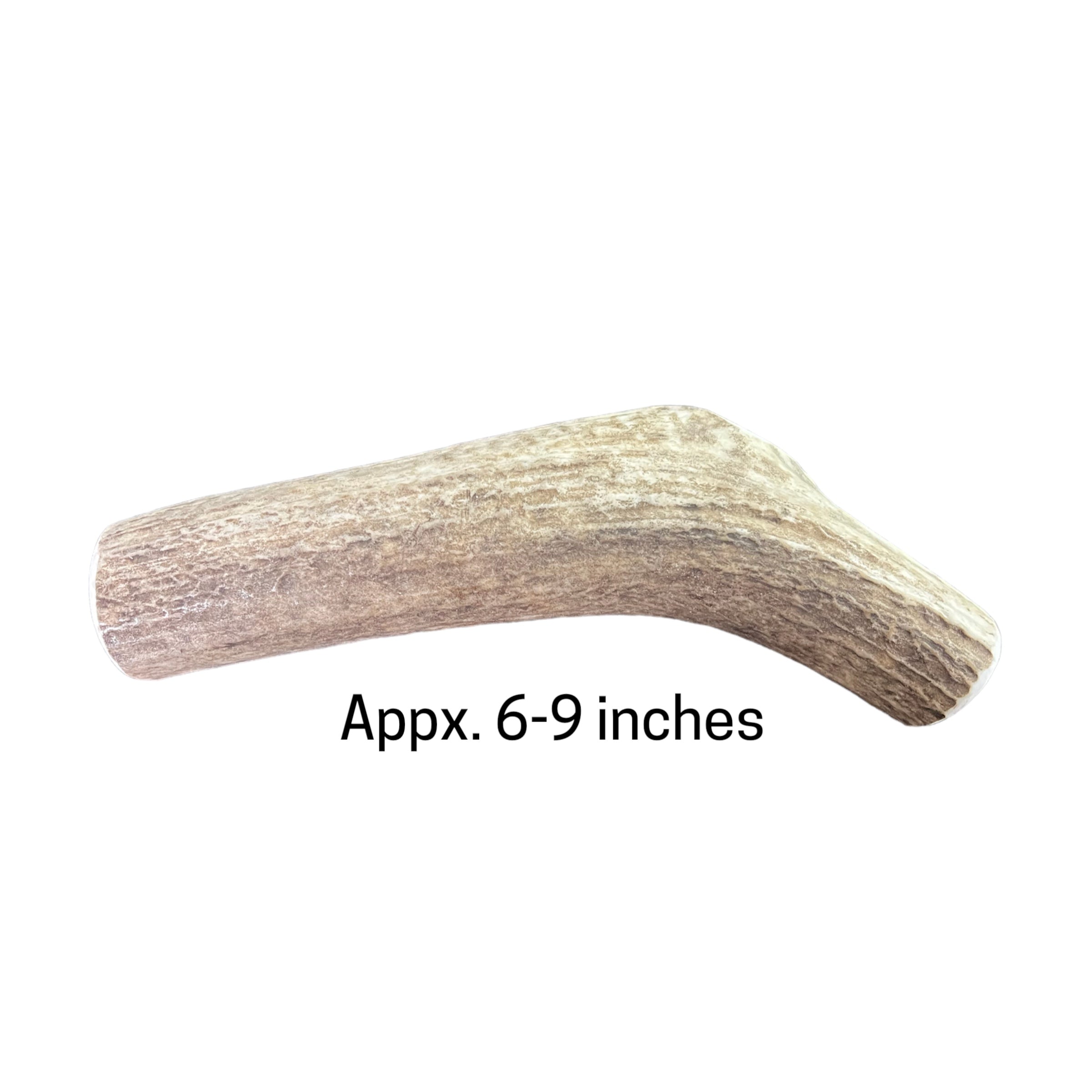 Elk Antlers by Jack's Premium