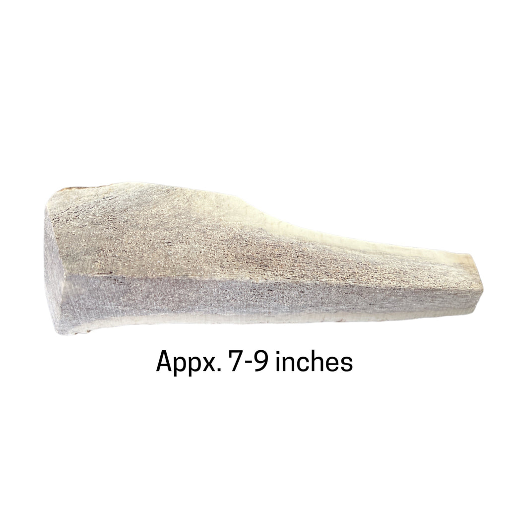 Elk Antlers by Jack's Premium