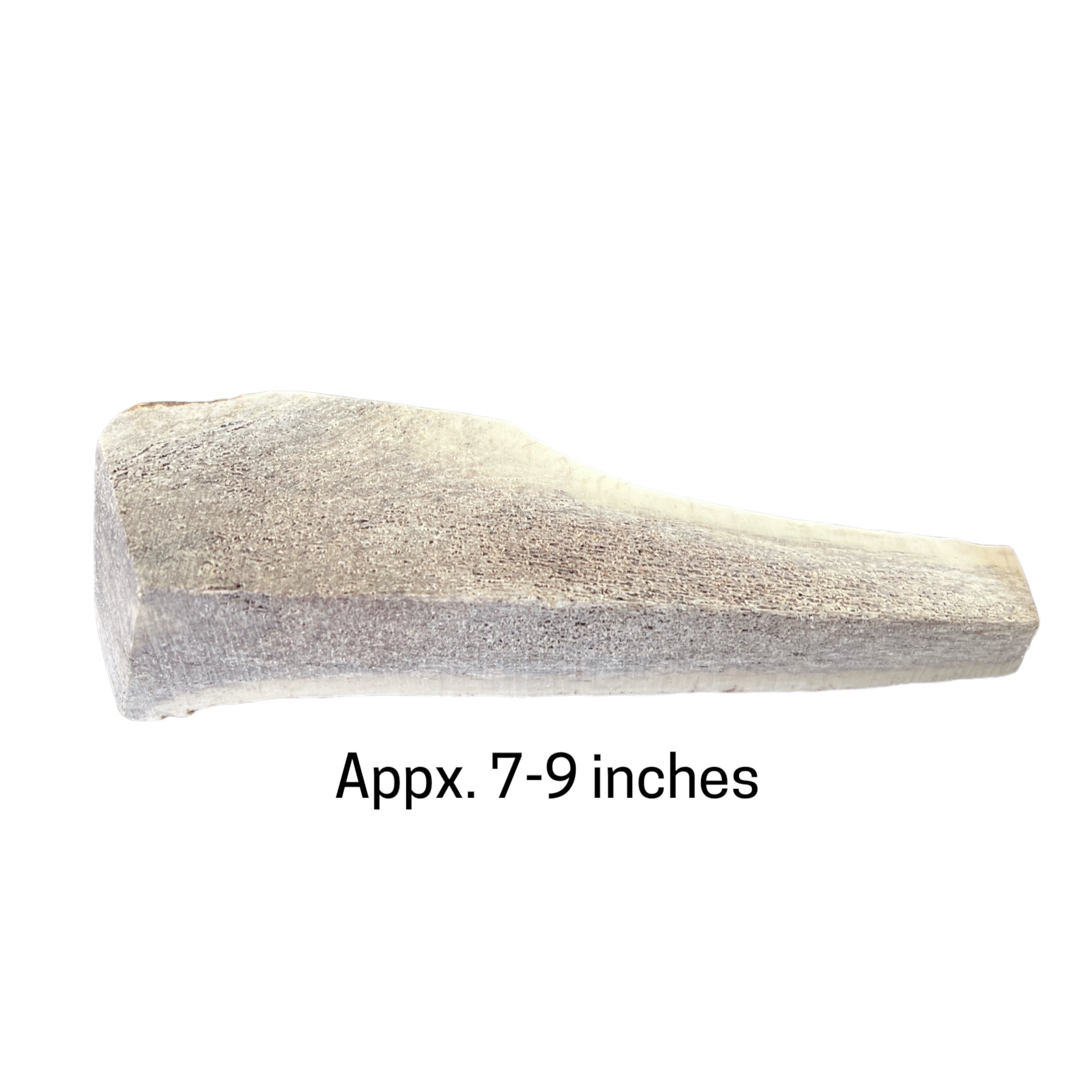 Elk Antlers by Jack's Premium