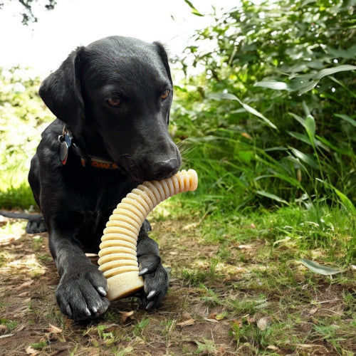 Flufflehorn Dental Antler - Indestructible Nylon Dog Chew Toy XL | USA Made by SodaPup/True Dogs, LLC