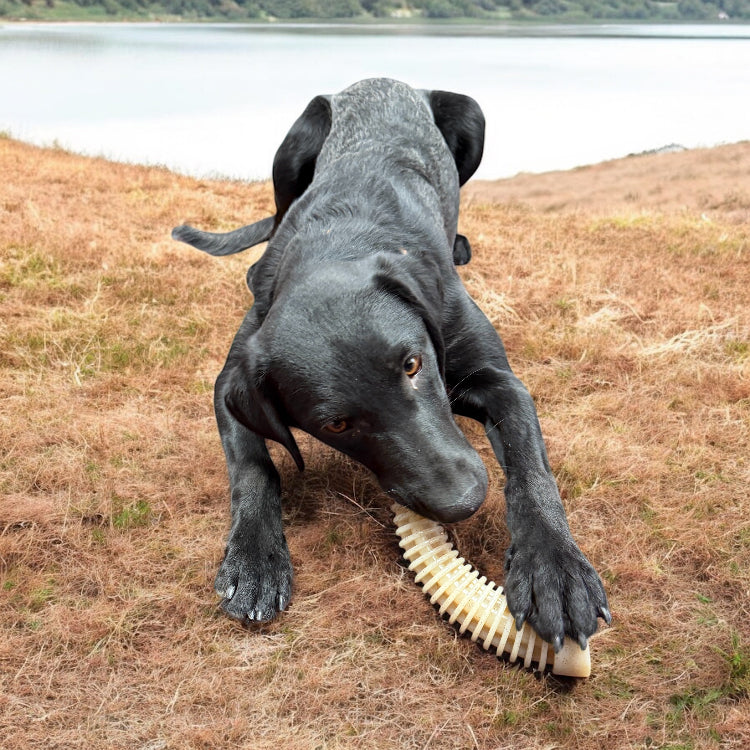 Flufflehorn Dental Antler - Indestructible Nylon Dog Chew Toy XL | USA Made by SodaPup/True Dogs, LLC