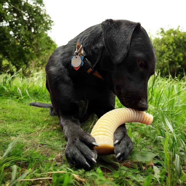 Flufflehorn Dental Antler - Indestructible Nylon Dog Chew Toy XL | USA Made by SodaPup/True Dogs, LLC