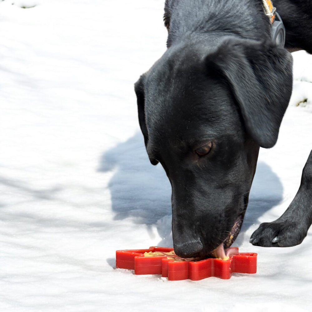 Canadian Maple Leaf Nylon Dog Chew Toy - Indestructible & USA Made by SodaPup/True Dogs, LLC