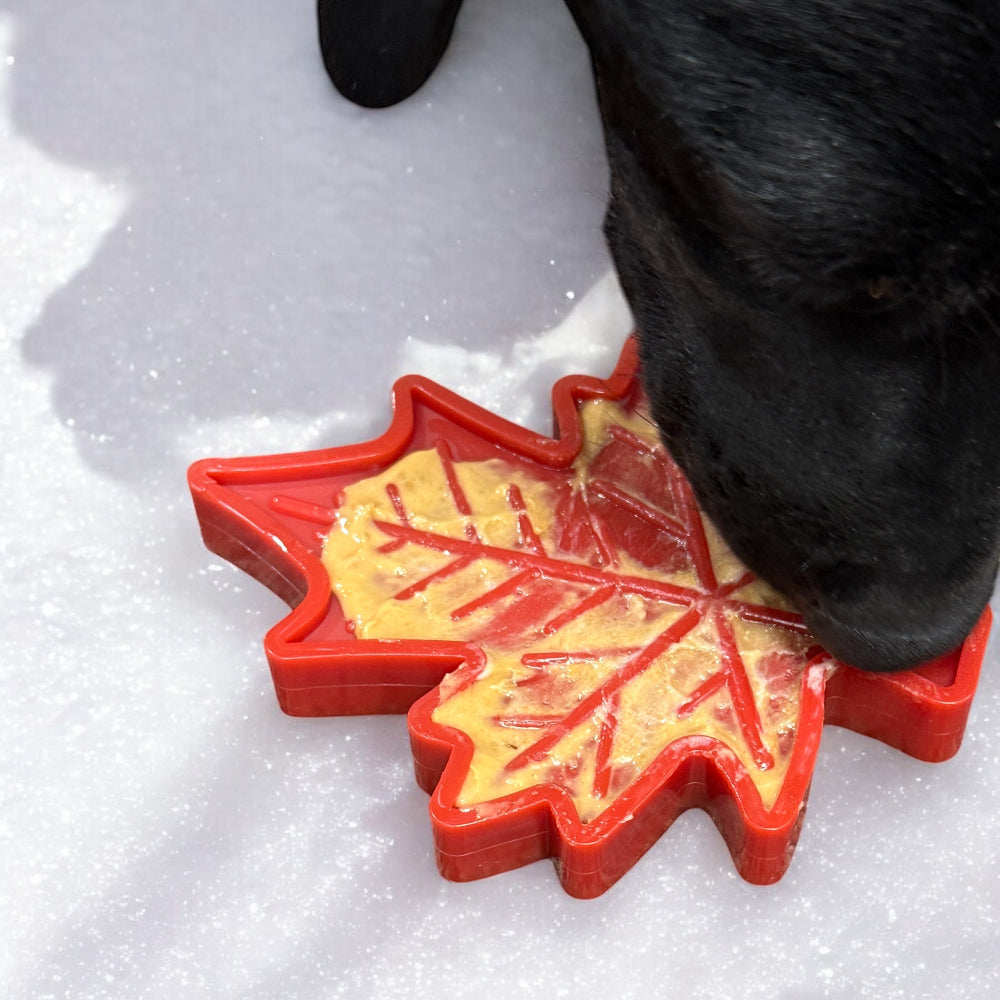 Canadian Maple Leaf Nylon Dog Chew Toy - Indestructible & USA Made by SodaPup/True Dogs, LLC