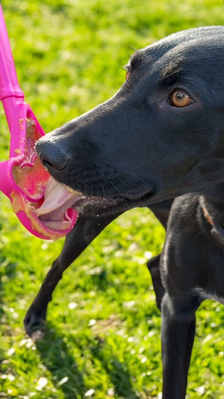 eStick Hand-Held Dog Enrichment Toy - Interactive Lick Stick | USA Made by SodaPup/True Dogs, LLC