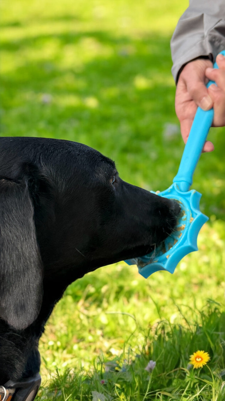 eStick Hand-Held Dog Enrichment Toy - Interactive Lick Stick | USA Made by SodaPup/True Dogs, LLC