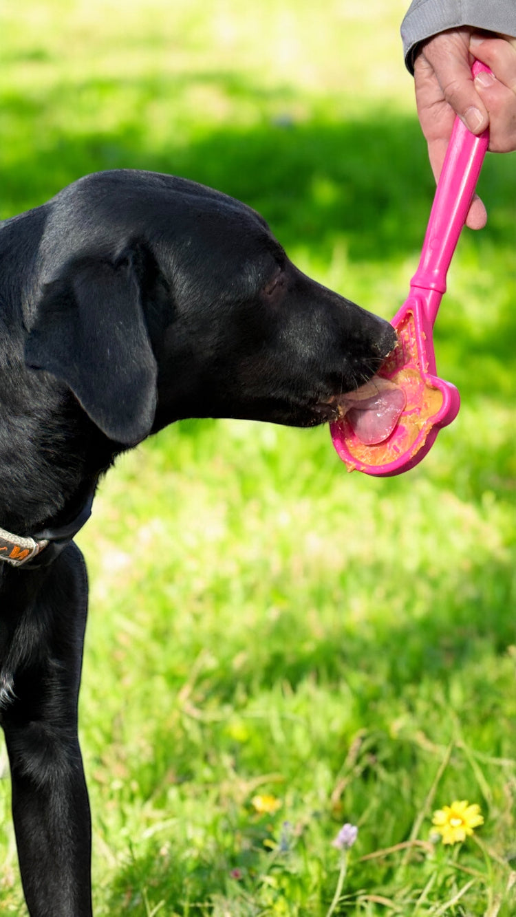 eStick Hand-Held Dog Enrichment Toy - Interactive Lick Stick | USA Made by SodaPup/True Dogs, LLC