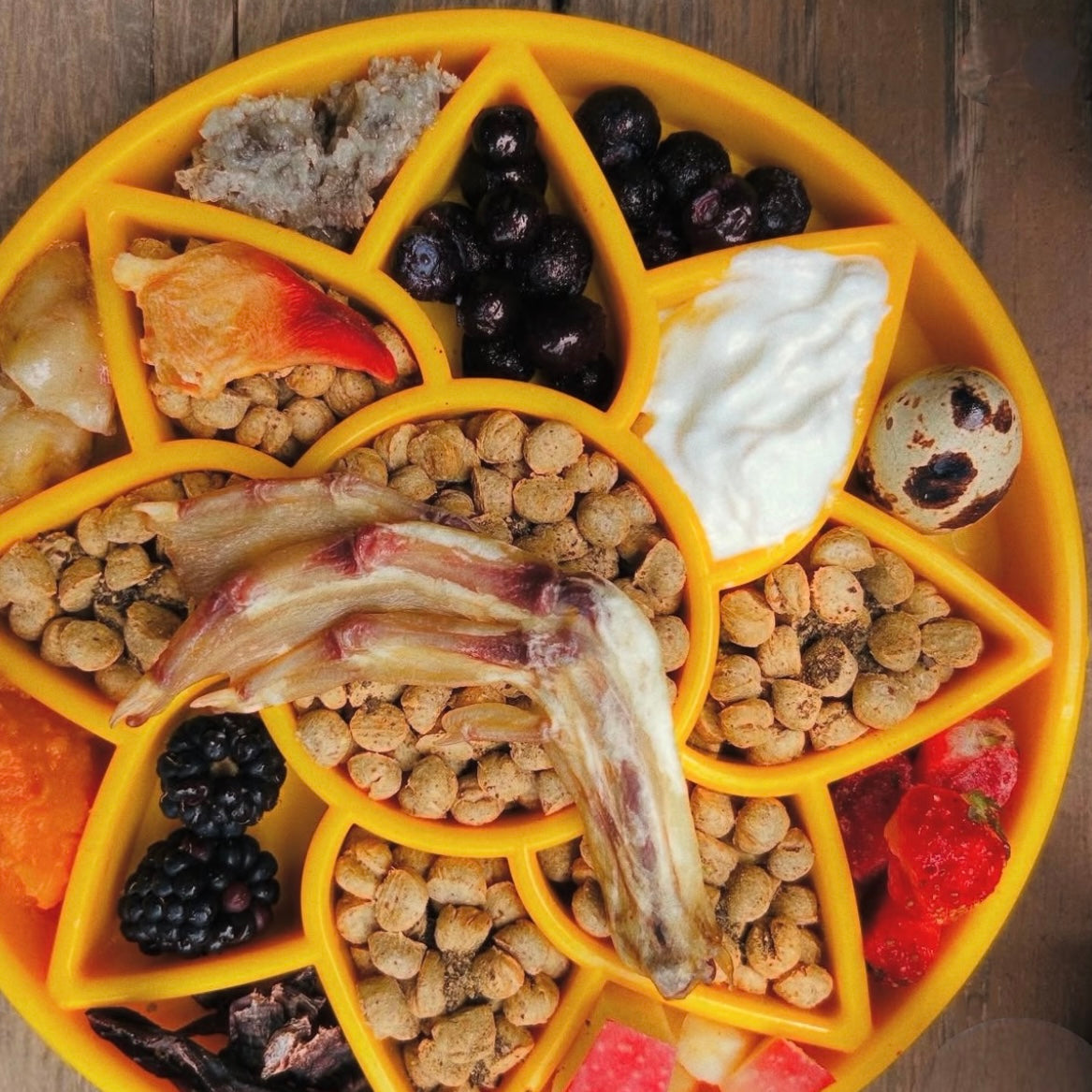Sunflower eTray Shallow Slow Feeder Dog Bowl for Enrichment | USA Made by SodaPup/True Dogs, LLC