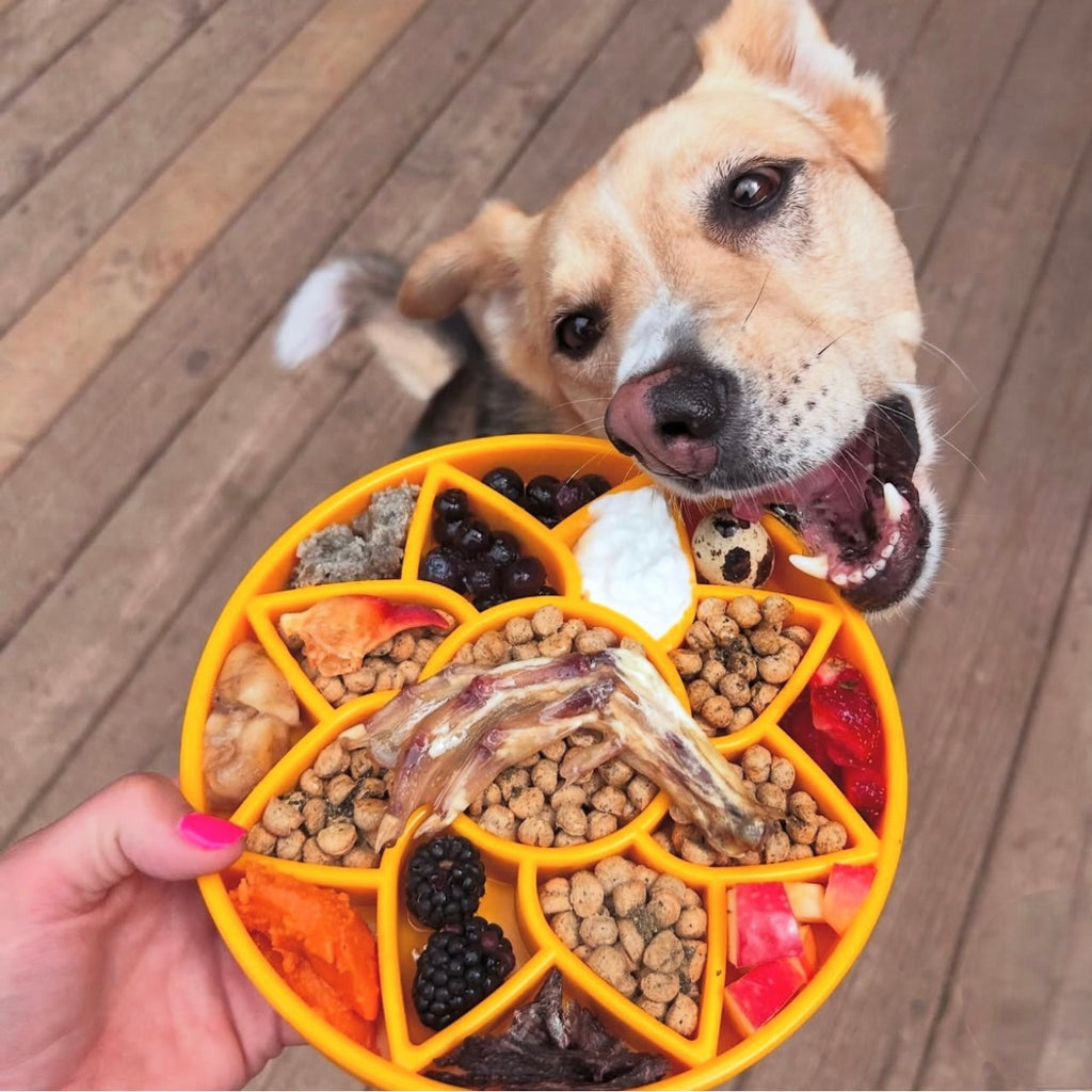 Sunflower eTray Shallow Slow Feeder Dog Bowl for Enrichment | USA Made by SodaPup/True Dogs, LLC