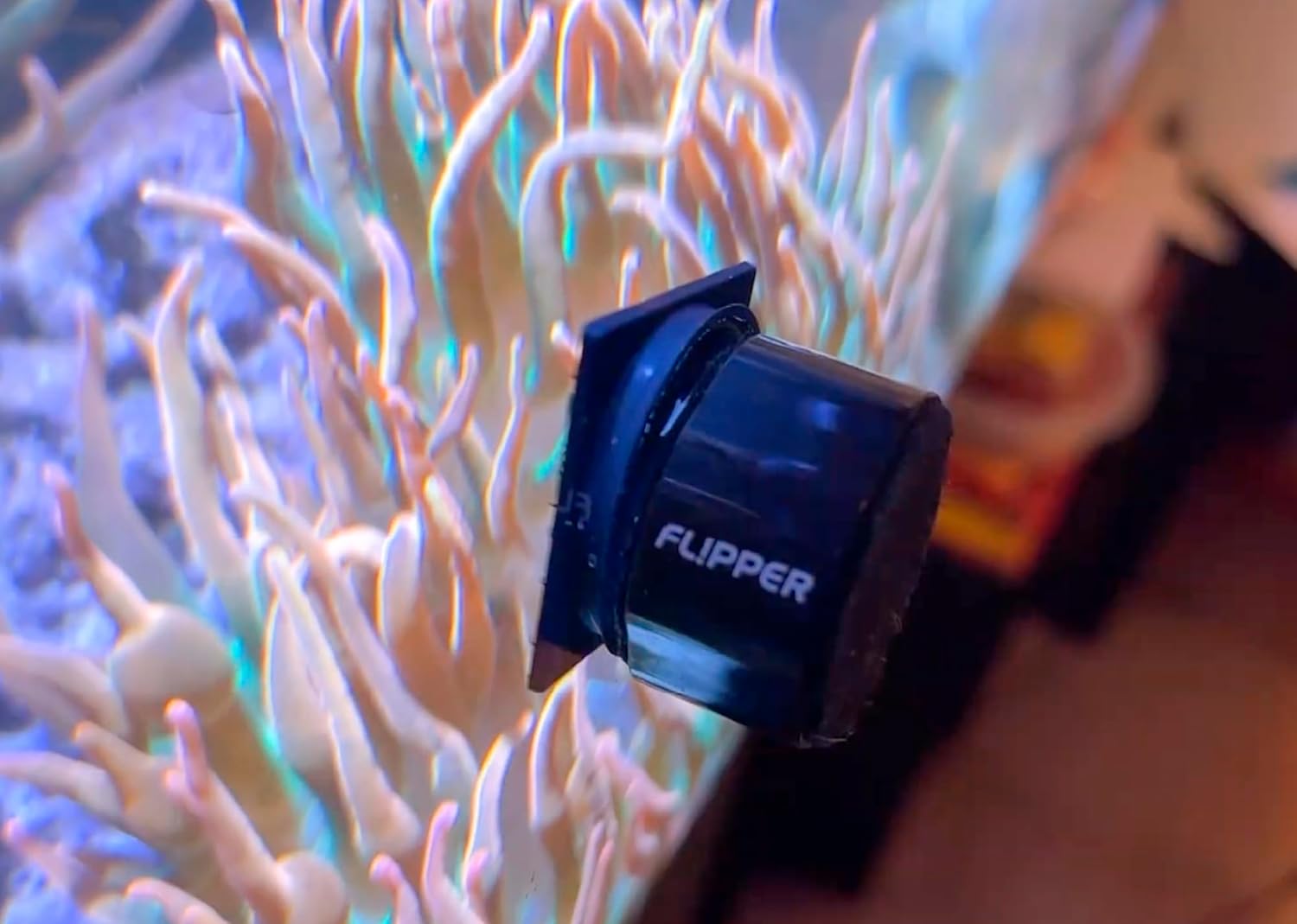 Flipper Pico 2 in 1 Aquarium Magnet Cleaner Replacement Blades 4 Pack by Flipper Aquarium Products