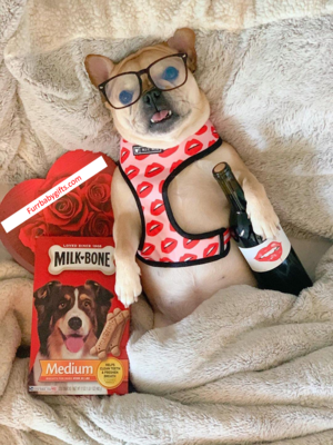 Luxury Red Lips Breathable Mesh Harness Chest Back + Traction by Furr Baby Gifts