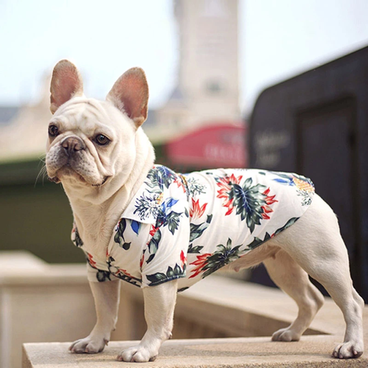 Hawaiian Pet Shirts by Furr Baby Gifts