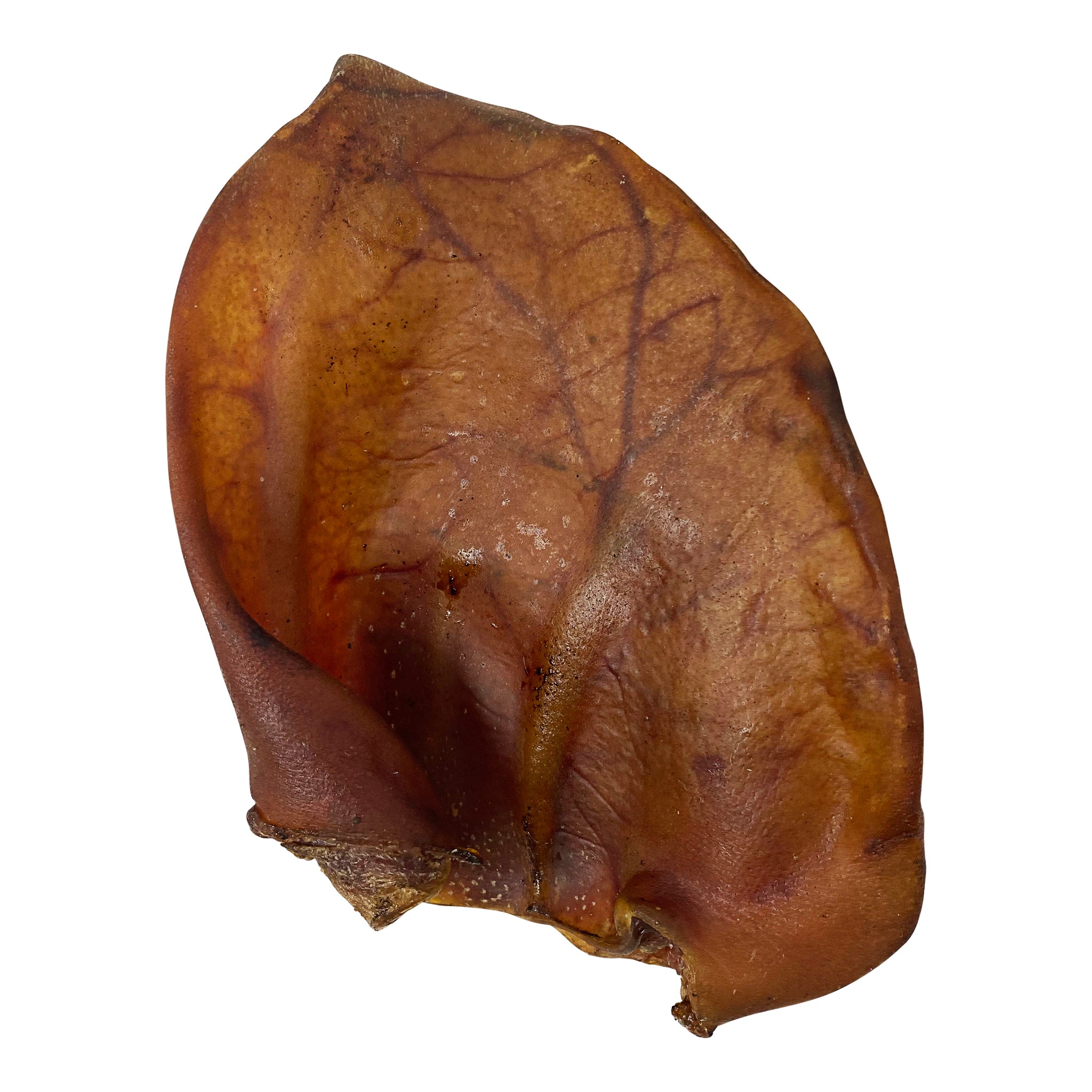 Pig Ear by Jack's Premium