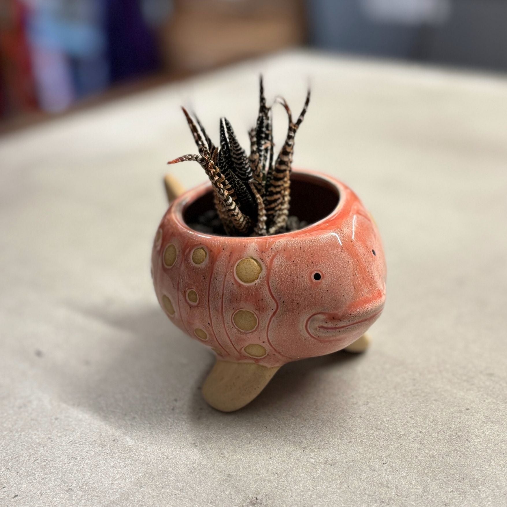 Pink Fish Mini Planter Pot | Tropical Shaped Fish Pot | 5" x 3" by The Bullish Store