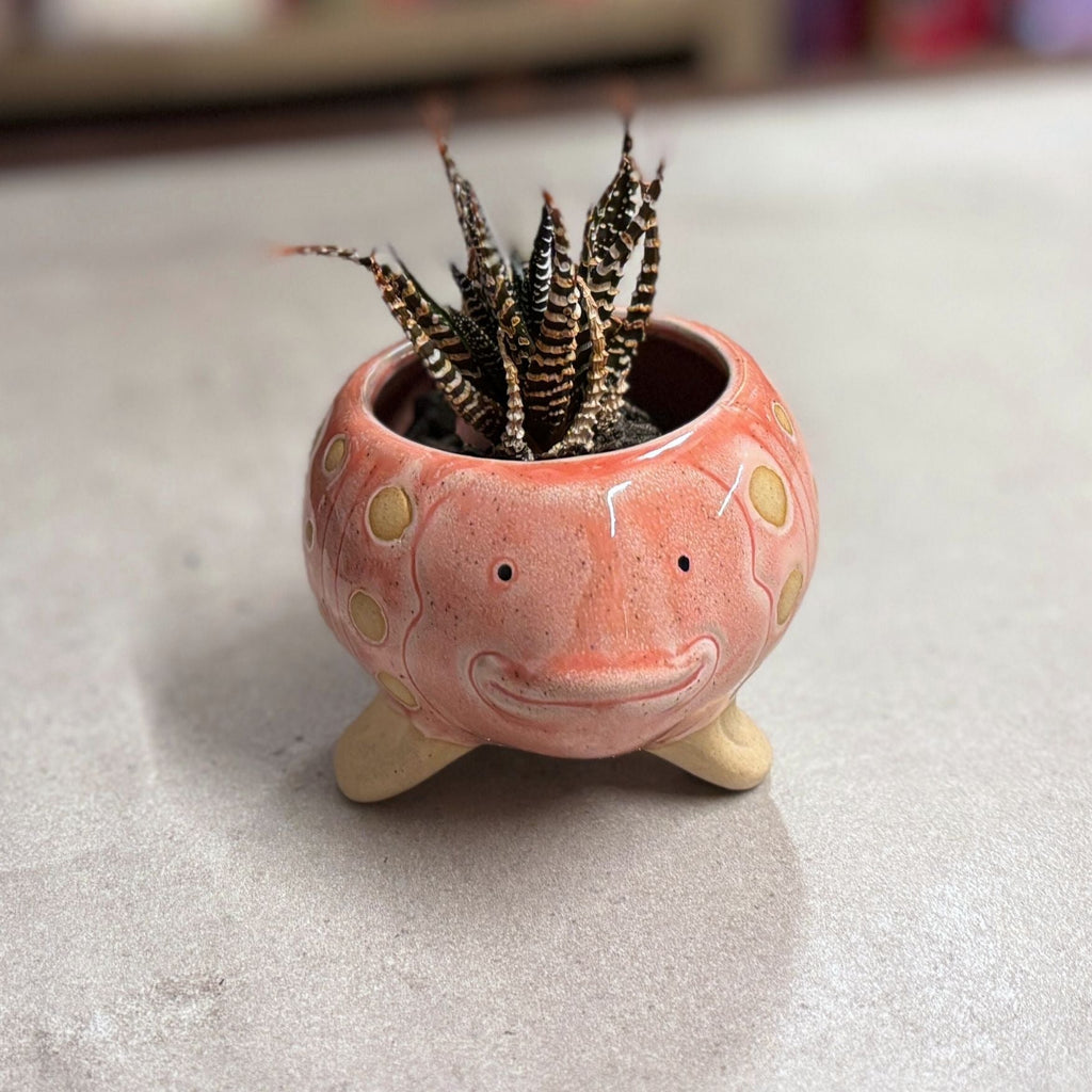 Pink Fish Mini Planter Pot | Tropical Shaped Fish Pot | 5" x 3" by The Bullish Store