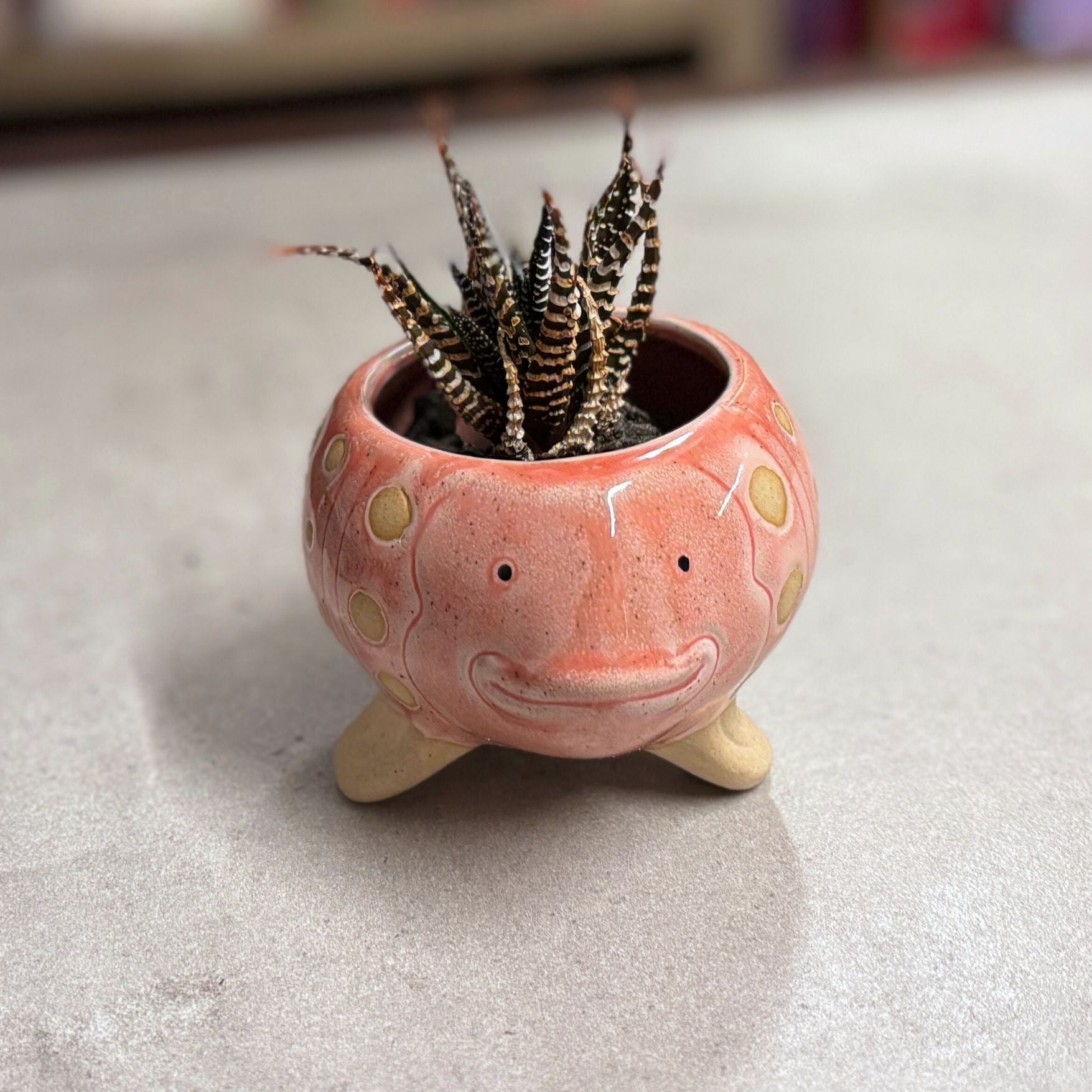 Pink Fish Mini Planter Pot | Tropical Shaped Fish Pot | 5" x 3" by The Bullish Store