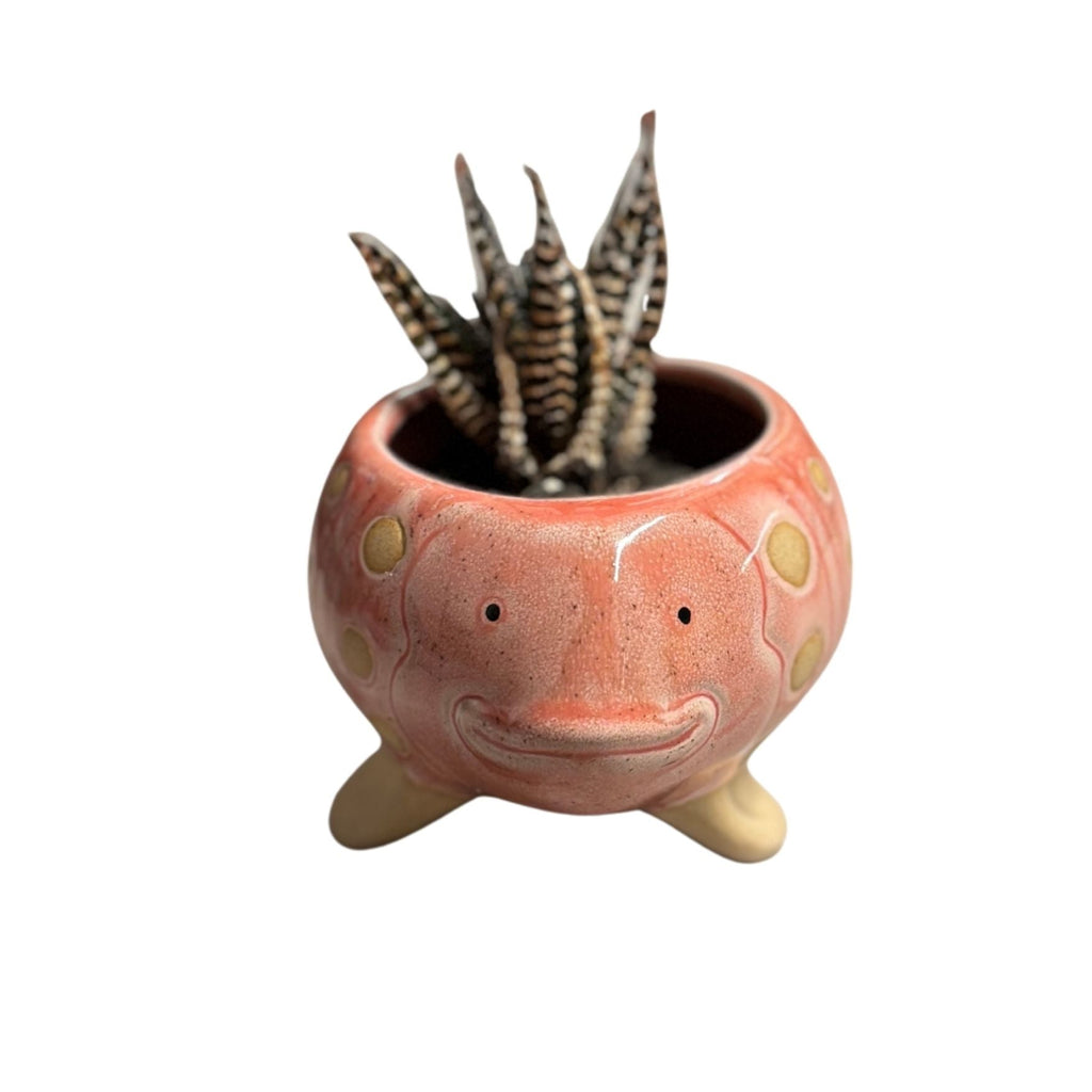 Pink Fish Mini Planter Pot | Tropical Shaped Fish Pot | 5" x 3" by The Bullish Store