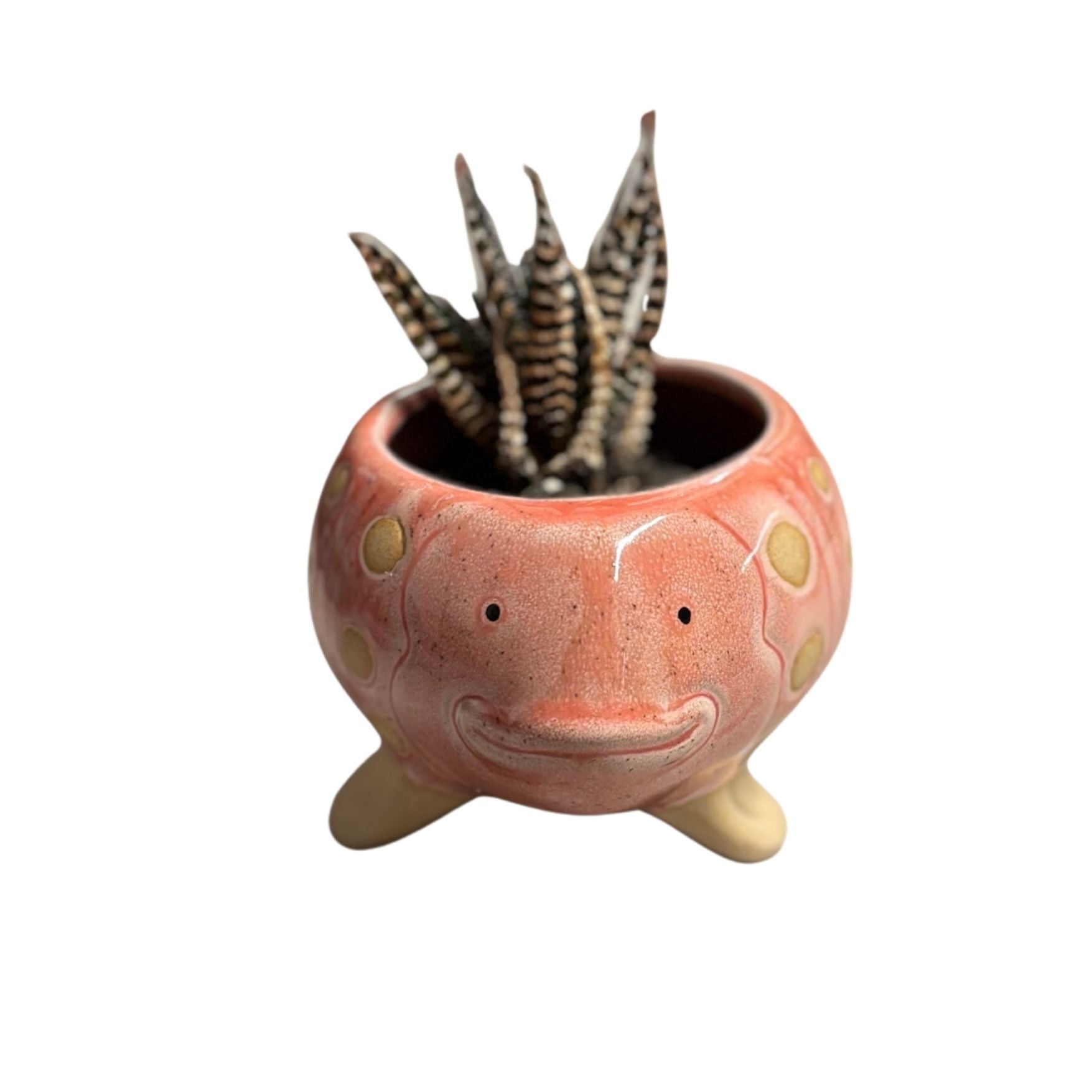 Pink Fish Mini Planter Pot | Tropical Shaped Fish Pot | 5" x 3" by The Bullish Store