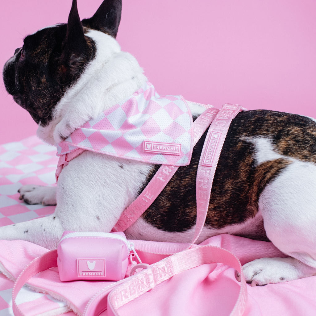 Frenchie Poo Bag Holder - Solid Pink Bubblegum by Frenchie Bulldog
