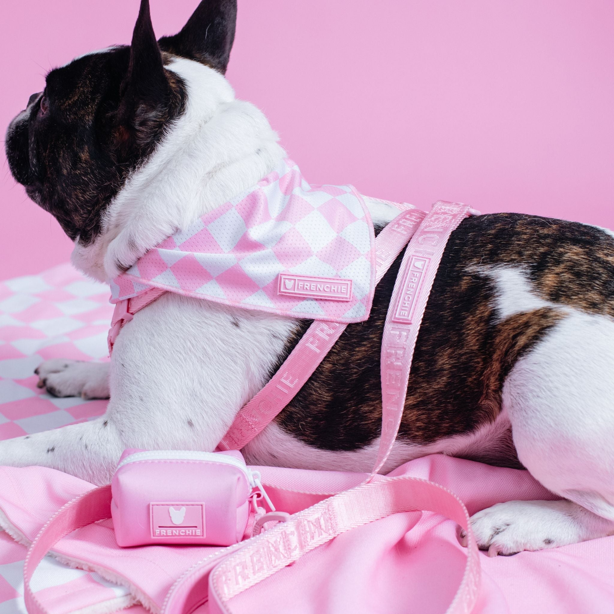 Frenchie Poo Bag Holder - Solid Pink Bubblegum by Frenchie Bulldog