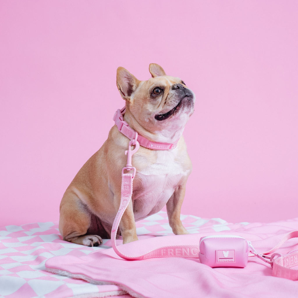 Frenchie Poo Bag Holder - Solid Pink Bubblegum by Frenchie Bulldog